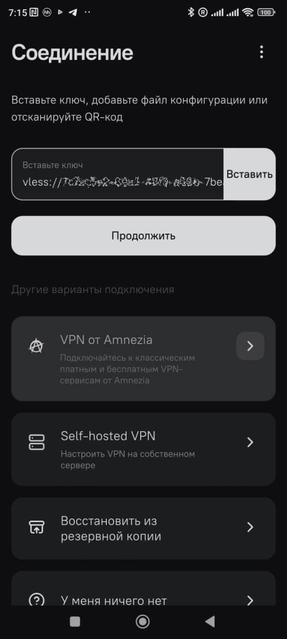 Вставка ключа в Amnezia